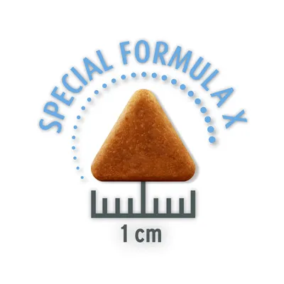 Crocchetta triangolare con la scritta 'Special Formula X' e dimensione di 1 cm.