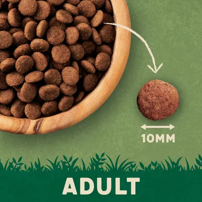 Image shows round kibble in a bowl, with one piece highlighted to indicate size of 10mm diameter. Text at bottom reads 'ADULT'.