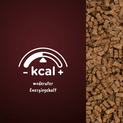 Moderater Energiegehalt, Symbol mit Skala und Text: - kcal +.