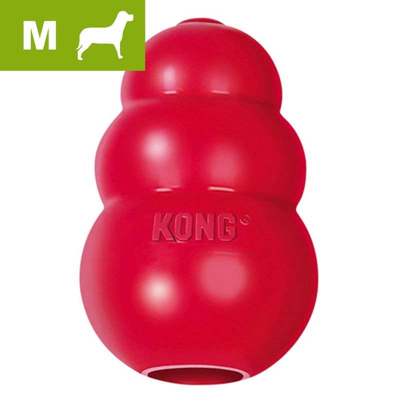 KONG Classic, M