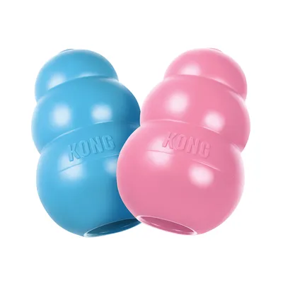 KONG Spielzeug in Blau und Rosa, aus robustem Material mit typischer KONG-Form.