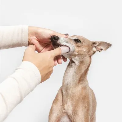 kooa силиконов напръстник за почистване на зъбите