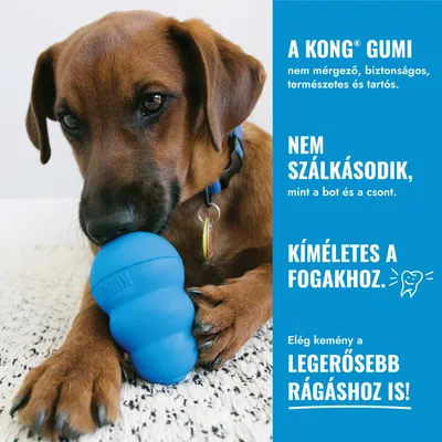 KONG Puppy kiskutya játék