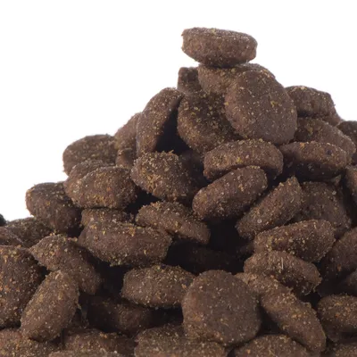 Närbild på en hög med runda, mörkbruna torrfoderbitar för husdjur. Ingen synlig förpackning eller text.