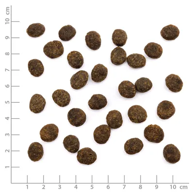 Wildes Land Cat Forelle & Lachs