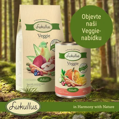 Lukullus Veggie Adult, balení granulí a konzervy. Text: Objevte naši Veggie-nabídku, in Harmony with Nature. Konzerva 400 g, zelenina s dýní a mangem.