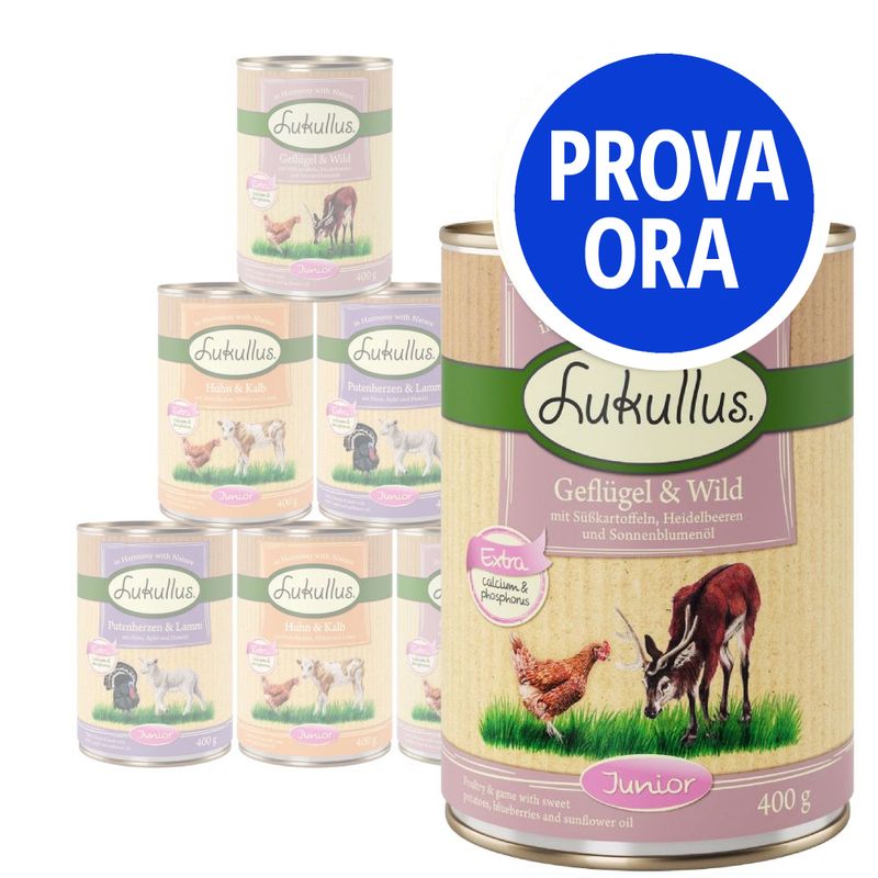 Provalo! Lukullus Alimentazione naturale Junior umido cane