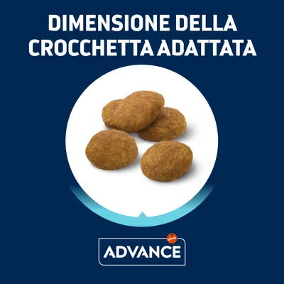 Dimensione della crocchetta adattata, immagine di quattro crocchette Advance affinity su sfondo bianco. Testo: DIMENSIONE DELLA CROCCHETTA ADATTATA. Marchio: ADVANCE affinity.