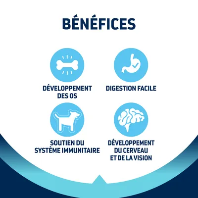 BÉNÉFICES : développement des os, digestion facile, soutien du système immunitaire, développement du cerveau et de la vision.