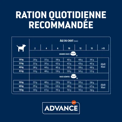 Tableau de ration quotidienne recommandée pour chiens Advance, grandes et géantes races, poids 30–70 kg, âges 2 à >15 mois, quantités en grammes selon âge et poids.
