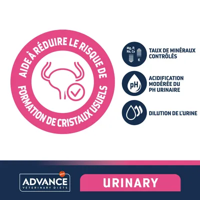 Aide à réduire le risque de formation de cristaux usuels, taux de minéraux contrôlés, acidification modérée du pH urinaire, dilution de l'urine. Advance Veterinary Diets URINARY.