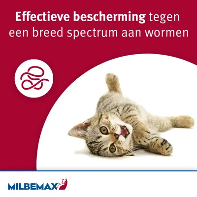 Effectieve bescherming tegen een breed spectrum aan wormen. MILBEMAX merknaam zichtbaar, afbeelding van een kat.