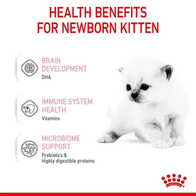 Health benefits for newborn kitten: brain development with DHA, immune system health with vitamins, microbiome support with prebiotics and highly digestible proteins.