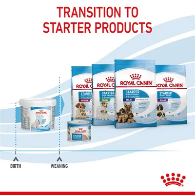 Royal Canin Starter proizvodi za štence: kante, konzerve i vreće s oznakama Medium, Mini, Maxi, Giant. Tekst na engleskom: Transition to starter products. Prikaz prijelaza od rođenja do odbića.