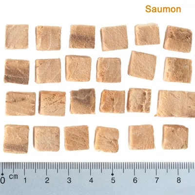 Morceaux carrés de saumon lyophilisé alignés sur fond blanc, règle en centimètres visible pour indiquer la taille, texte « Saumon » en haut à droite.