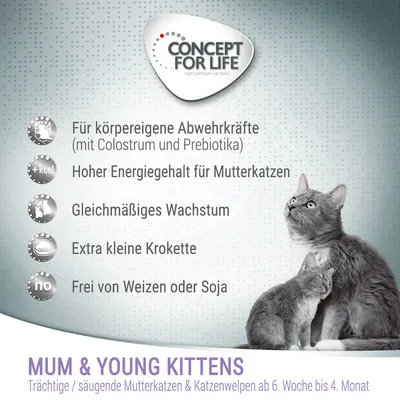 Concept for Life Mum & Young Kittens. Tiineille/imettäville emokissoille ja kissanpennuille 6. viikosta 4. kuukauteen. Edut: vastustuskyky, korkea energiapitoisuus, kasvu, pienet nappulat, vehnätön.