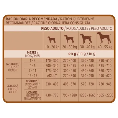 Tableau de ration quotidienne recommandée pour chiens selon poids adulte (10–55 kg), âge ou état (chiot, adulte, gestante, allaitante), quantités en grammes par jour visibles.
