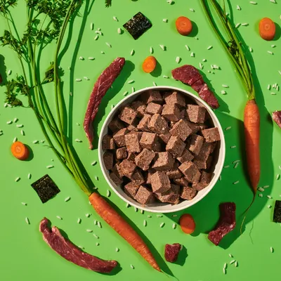 Bowl of cubed pet food surrounded by raw carrots, carrot slices, meat strips, rice grains and seaweed pieces, showing visible ingredients used in the product.