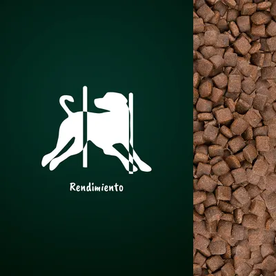Pienso marrón en primer plano junto a icono blanco de perro y texto 'Rendimiento' sobre fondo verde oscuro.