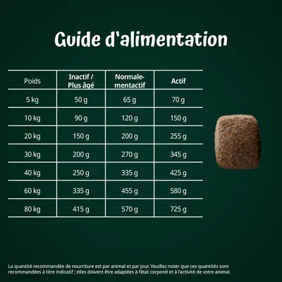 Guide d’alimentation : tableau des quantités journalières recommandées selon le poids du chien (5 à 80 kg) et niveau d’activité, de 50 g à 725 g par jour.