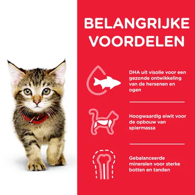 BELANGRIJKE VOORDELEN: DHA uit visolie voor gezonde ontwikkeling van hersenen en ogen, hoogwaardig eiwit voor spiermassa, gebalanceerde mineralen voor sterke botten en tanden.
