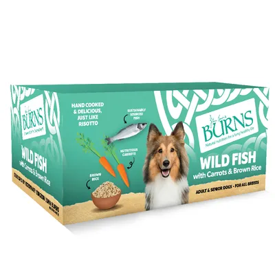 Burns Wild Fish with Carrots & Brown Rice, showing sustainably sourced fish, nutritious carrots, brown rice, and text: hand cooked & delicious, just like risotto. For adult & senior dogs.