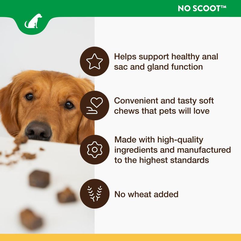 NaturVet No Scoot