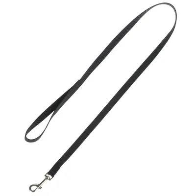 Musta nylonkoiran talutushihna käsilenkillä ja hopeanvärisellä karabiinihakalla.