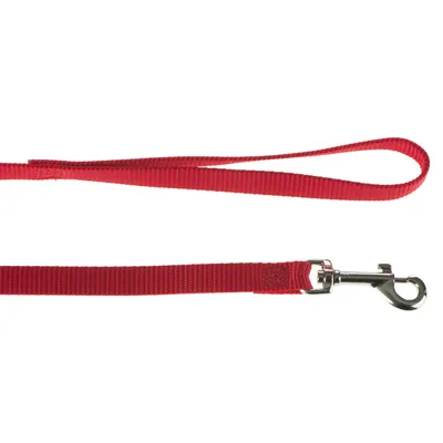 Rote Hundeleine aus Nylon mit Handschlaufe und silbernem Karabinerhaken.