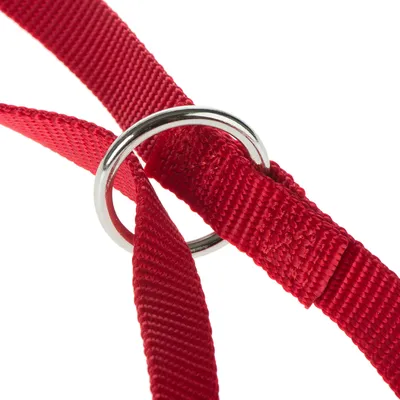 Rotes Nylonband mit silbernem Metallring, Detailansicht der Verarbeitung.