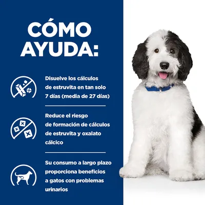Texto: Disuelve los cálculos de estruvita en tan solo 7 días (media de 27 días). Reduce el riesgo de formación de cálculos de estruvita y oxalato cálcico. Beneficios para gatos con problemas urinarios.
