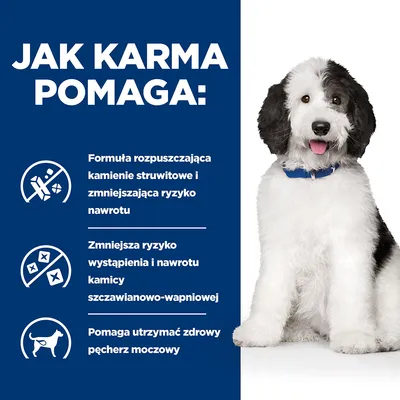 Jak karma pomaga: formuła rozpuszczająca kamienie struwitowe, zmniejsza ryzyko nawrotu kamicy szczawianowo-wapniowej, pomaga utrzymać zdrowy pęcherz moczowy.
