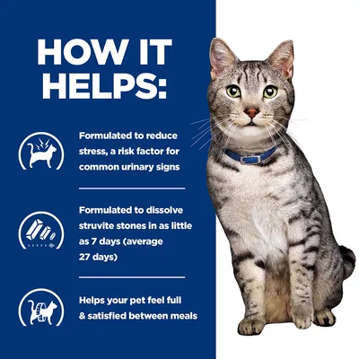 How it helps: formulated to reduce stress, dissolve struvite stones in as little as 7 days, and help your pet feel full and satisfied between meals. Image of a cat beside the text.