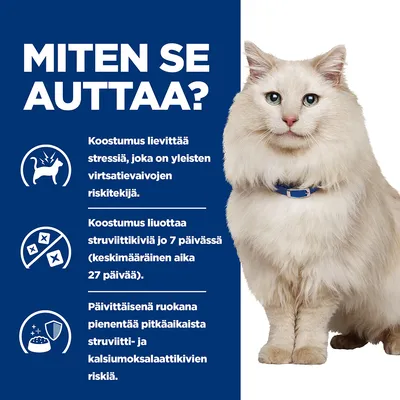 Teksti: Miten se auttaa? Koostumus lievittää stressiä, liuottaa struviittikiviä 7 päivässä (keskimäärin 27 päivää), vähentää struviitti- ja kalsiumoksalaattikivien riskiä. Valkoinen kissa.