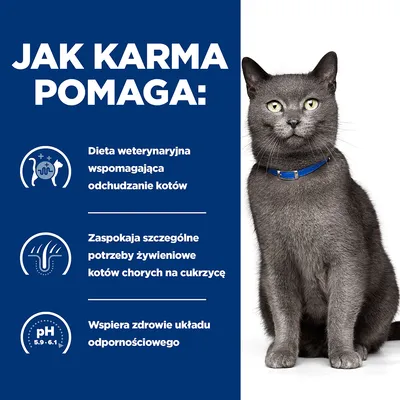 Jak karma pomaga: dieta weterynaryjna wspomagająca odchudzanie kotów, zaspokaja potrzeby żywieniowe kotów chorych na cukrzycę, wspiera zdrowie układu odpornościowego pH 5,9–6,1. Jak karma pomaga: dieta weterynaryjna wspomagająca odchudzanie kotów, zaspokaja potrzeby żywieniowe kotów chorych na cukrzycę, wspiera zdrowie układu odpornościowego pH 5,9–6,1.