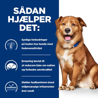 SÅDAN HJÆLPER DET: Synlige forbedringer på huden hos hunde med fodersensitivitet. Ernæring bevist til at reducere kløe om natten og forbedre søvnkvalitet. Støtter hudbarrieren imod miljømæssige irritamenter året rundt.