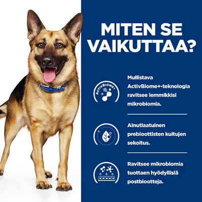 Saksanpaimenkoira ja teksti: MITEN SE VAIKUTTAA? Mullistava ActivBiome+-teknologia ravitsee lemmikkisi mikrobiomia. Ainutlaatuinen prebioottisten kuitujen sekoitus. Ravitsee mikrobiomia tuottaen hyödyllisiä postbiootteja.