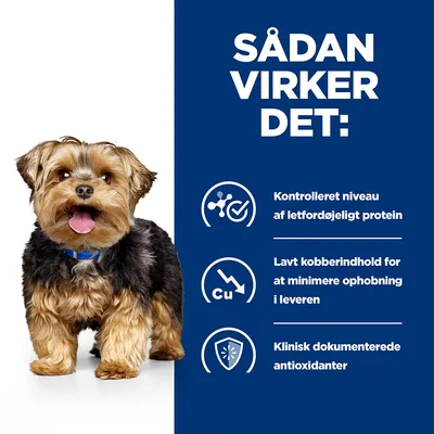 SÅDAN VIRKER DET: Kontrolleret niveau af letfordøjeligt protein, lavt kobberindhold for at minimere ophobning i leveren, klinisk dokumenterede antioxidanter. Hund ved siden af tekst.
