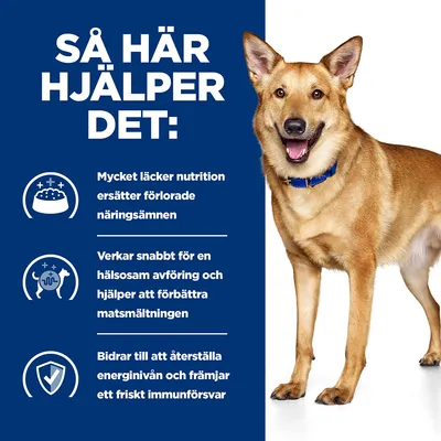 SÅ HÄR HJÄLPER DET: Mycket läcker nutrition ersätter förlorade näringsämnen. Verkar snabbt för en hälsosam avföring och hjälper att förbättra matsmältningen. Bidrar till att återställa energinivån och främjar ett friskt immunförsvar.