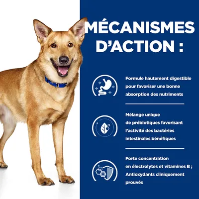 MÉCANISMES D’ACTION : Formule hautement digestible, mélange unique de prébiotiques, forte concentration en électrolytes et vitamines B, antioxydants cliniquement prouvés.