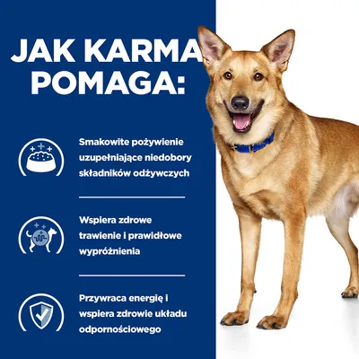 Jak karma pomaga: Smakowite pożywienie uzupełniające niedobory składników odżywczych, wspiera zdrowe trawienie i wypróżnienia, przywraca energię i wspiera układ odpornościowy.