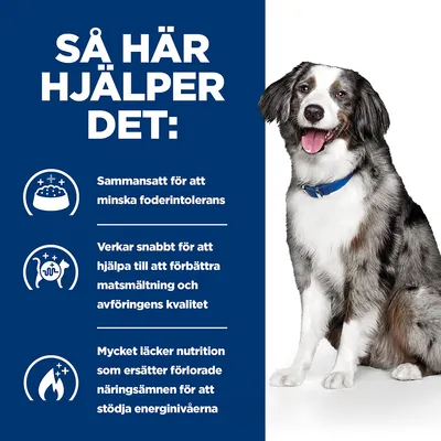 Så här hjälper det: Sammansatt för att minska foderintolerans. Verkar snabbt för att förbättra matsmältning och avföringens kvalitet. Mycket läcker nutrition som stöder energinivåerna.