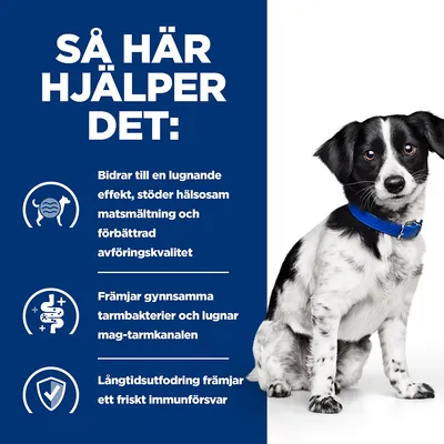 Så här hjälper det: Bidrar till en lugnande effekt, stödjer matsmältning och avföringskvalitet, främjar tarmbakterier och immunförsvar. Hund med blått halsband syns till höger.