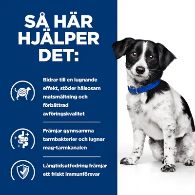 Så här hjälper det: Bidrar till en lugnande effekt, stöder matsmältning och avföringskvalitet, främjar tarmbakterier och immunförsvar. Text på svenska.