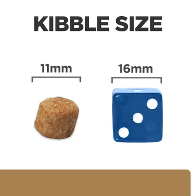 Kibble size comparison showing a piece of kibble measuring 11mm next to a blue die measuring 16mm.