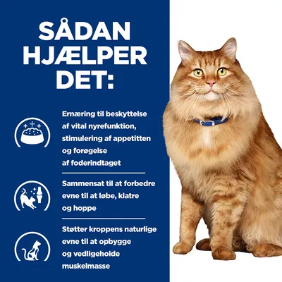 SÅDAN HJÆLPER DET: Ernæring til beskyttelse af vital nyrefunktion, stimulering af appetitten og forøgelse af foderindtaget. Forbedrer evne til at løbe, klatre, hoppe. Støtter muskelmasse.