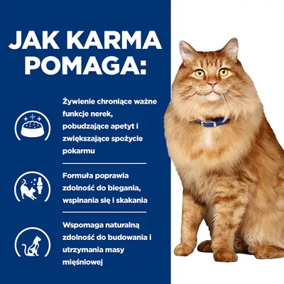 Jak karma pomaga: żywienie chroniące funkcje nerek, pobudzające apetyt; formuła poprawia zdolność do biegania, wspinania się i skakania; wspomaga budowanie masy mięśniowej.