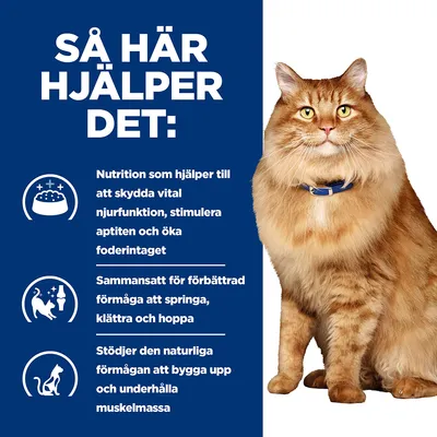 SÅ HÄR HJÄLPER DET: Nutrition som hjälper till att skydda vital njurfunktion, stimulera aptiten och öka foderintaget. Förbättrad förmåga att springa, klättra och hoppa. Stödjer muskelmassa.