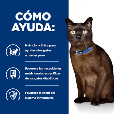CÓMO AYUDA: Nutrición clínica para ayudar a los gatos a perder peso. Favorece las necesidades nutricionales específicas de los gatos diabéticos. Favorece la salud del sistema inmunitario.