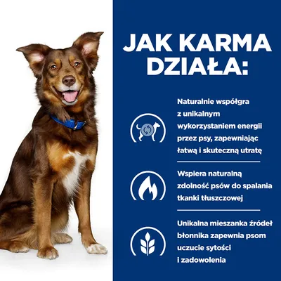 JAK KARMA DZIAŁA: Naturalnie współgra z unikalnym wykorzystaniem energii przez psy, wspiera spalanie tkanki tłuszczowej, mieszanka źródeł błonnika zapewnia uczucie sytości i zadowolenia.